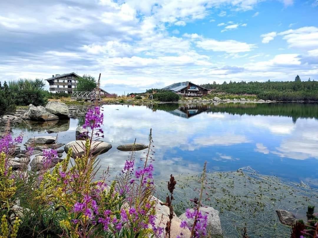 Alpine Lodge Bansko Apartments Zewnętrze zdjęcie