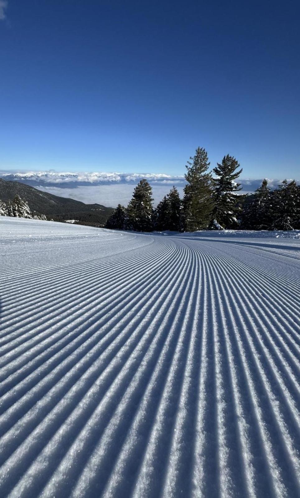 Alpine Lodge Bansko Apartments Zewnętrze zdjęcie